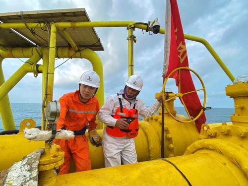 茂名石化完成国内最大管径海底原油管道检测